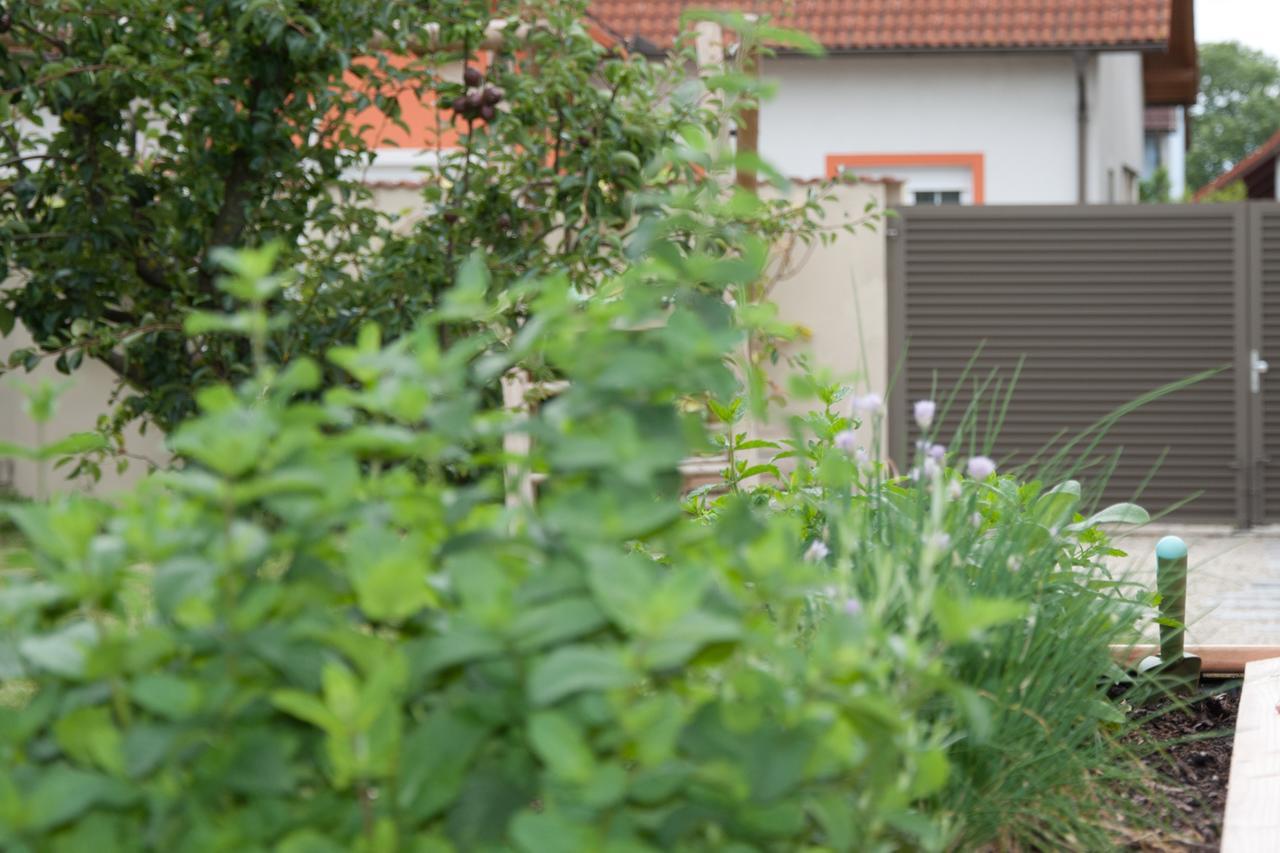Sabines Apartments Ferienwohnungen Frauenkirchen Exteriör bild